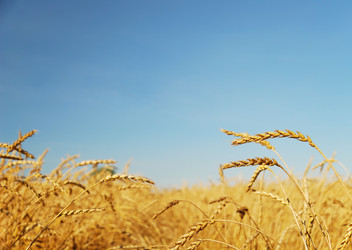 Similar image 1144025