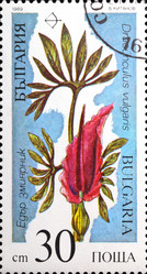 Similar image 1144031