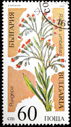 Similar image 1144032