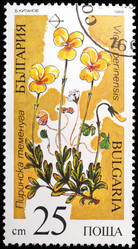 Similar image 1144033