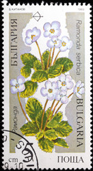 Similar image 1144034