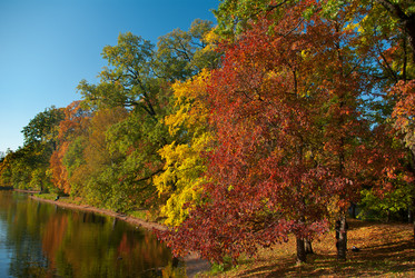 Similar image 1144035