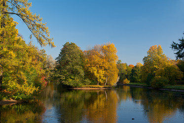 Similar image 1144036