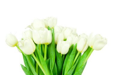 Similar image 1144122