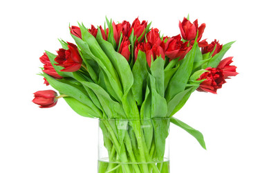 Similar image 1144123