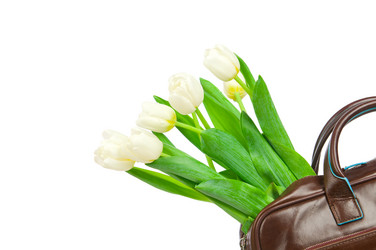 Similar image 1144125