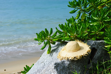 Similar image 1144182