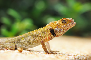 Similar image 1144194