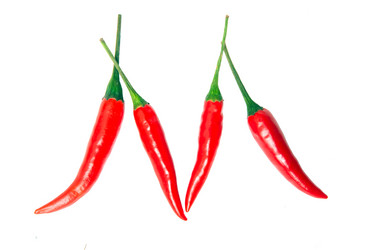 Similar image 1144259