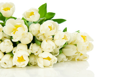 Similar image 1144320