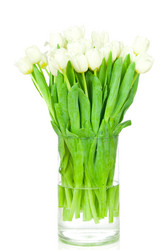 Similar image 1144322