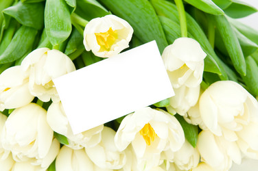 Similar image 1144324