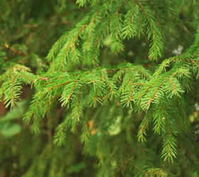 Similar image 1145223