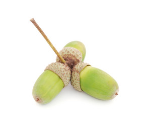 Similar image 1145230