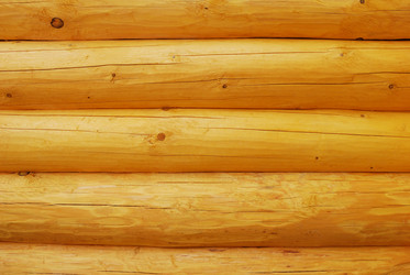 Similar image 1145237