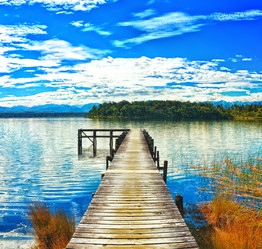 Similar image 1145262