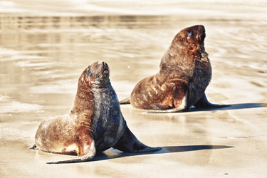 Similar image 1145272