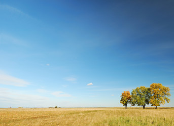 Similar image 1145283