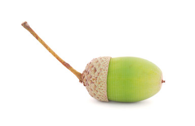 Similar image 1145311