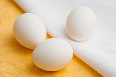 Similar image 1145331