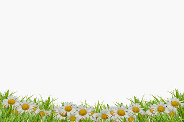 Similar image 1145394