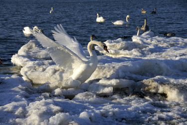 Similar image 1145420