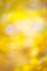 Similar image 1145535