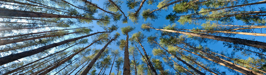 Similar image 1145609