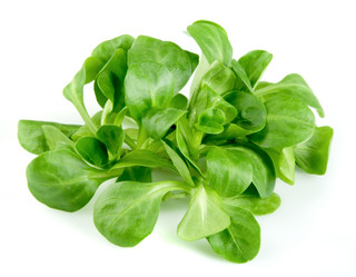 Similar image 1145616