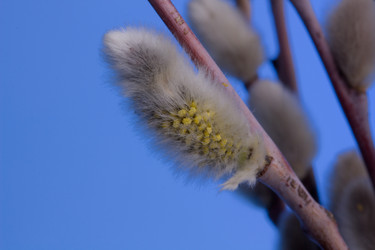 Similar image 1145853