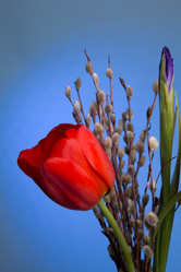 Similar image 1145854