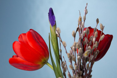 Similar image 1145855