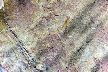 Similar image 1145873