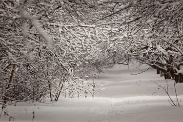 Similar image 1145987