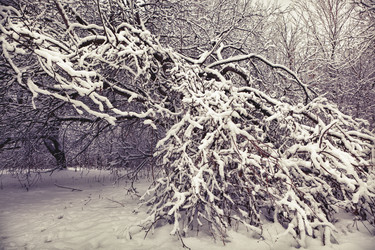 Similar image 1145988