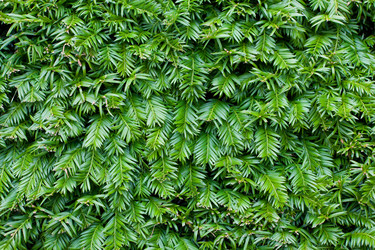 Similar image 1145989