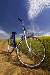 Similar image 1145996