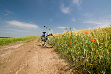 Similar image 1145997