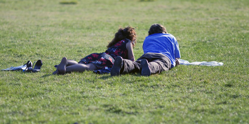 Similar image 1146005