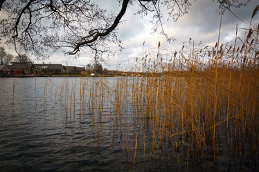 Similar image 1146012