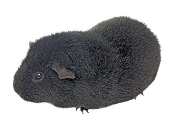 Similar image 1146051