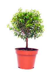 Similar image 1146052