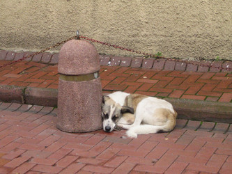 Similar image 1146058