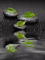 Similar image 1146069