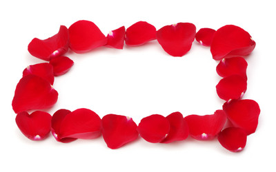 Similar image 1146092