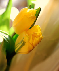 Similar image 1146143