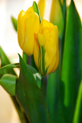 Similar image 1146154