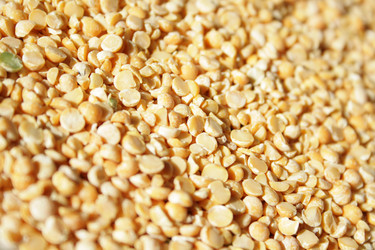 Similar image 1146158