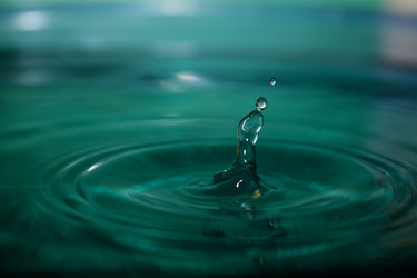 Similar image 1146161