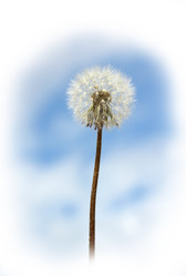 Similar image 1146174